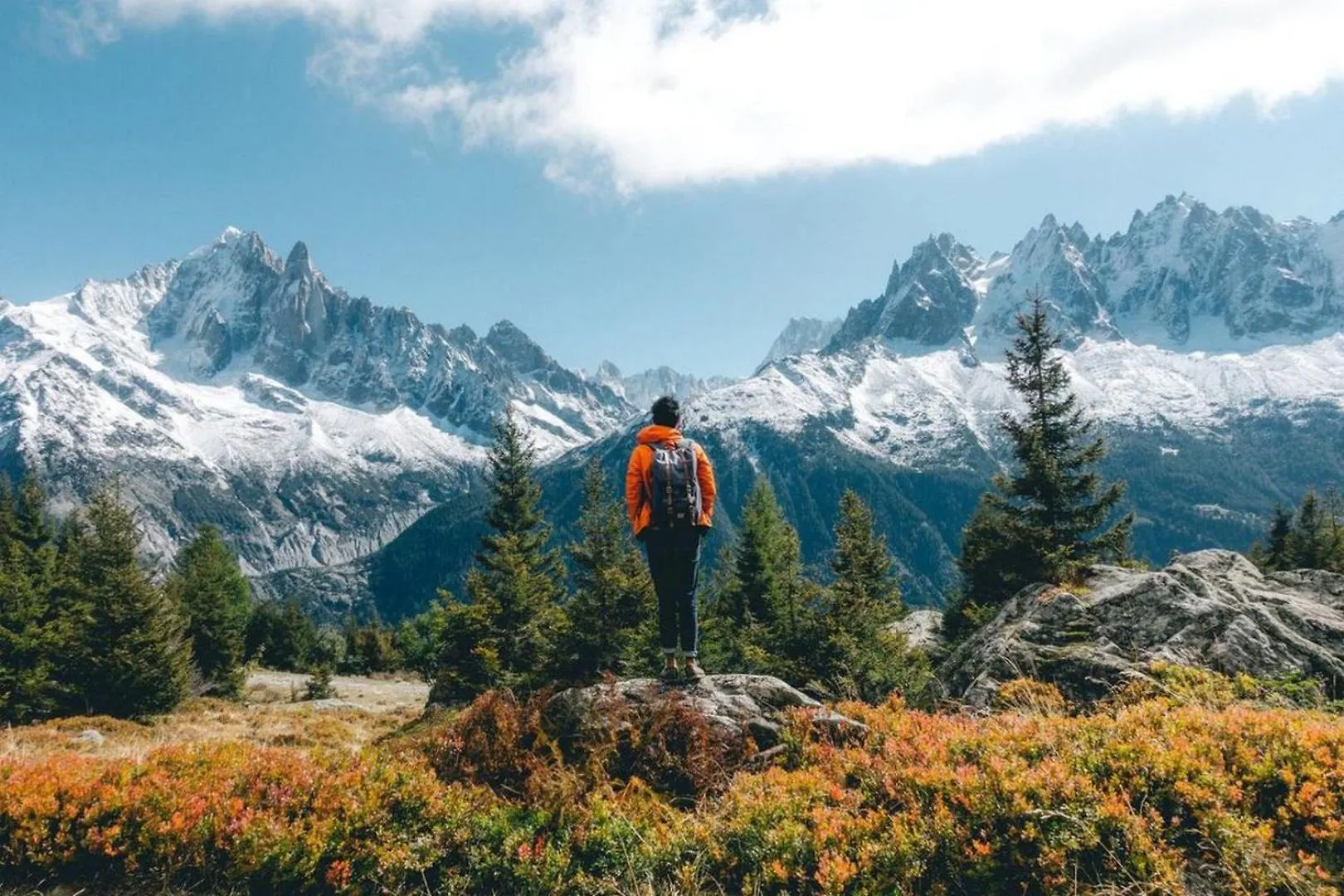 Apartment Au Bon Coin - Luxury Chamonix Hidden Haven, Mont Blanc View, Hot Tub And Garden